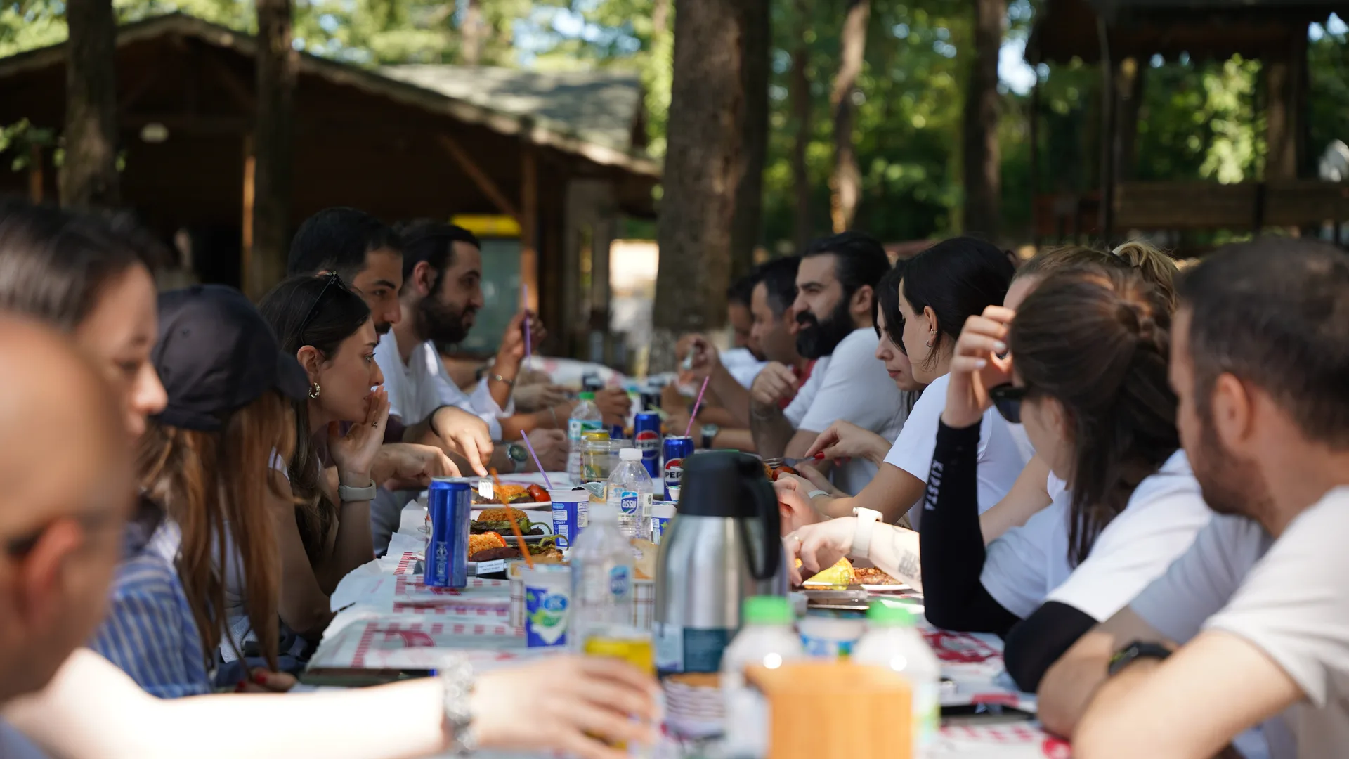 Avcıkoru galeri görseli 15